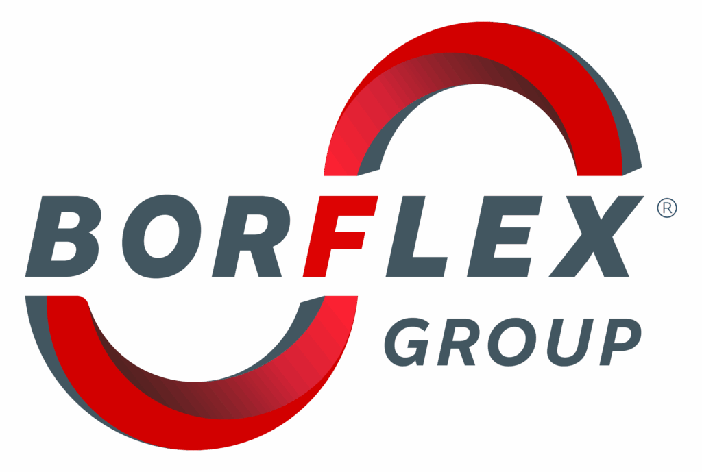 Logo-BORFLEX-GROUP-quadri